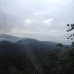 Genting Palace Restaurant User Photo