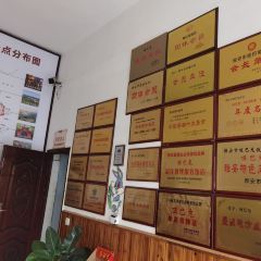 E BA TU ZONG DIAN User Photo
