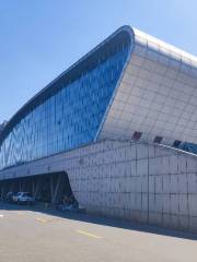 Baoji City Swimming. Diving hall