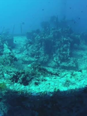 Maldives Victory Wreck