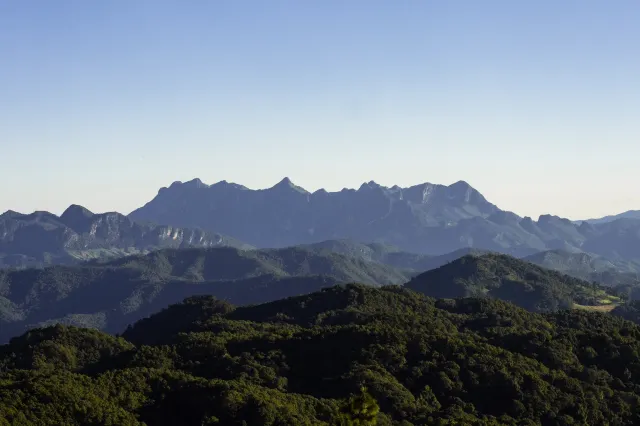 ดอยค้ำฟ้า