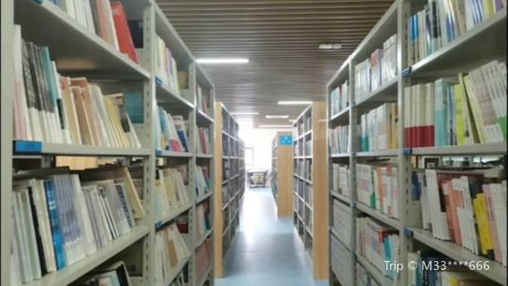 Qitaihe Library