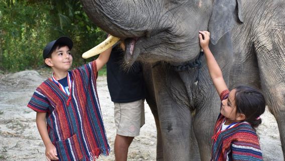 Halbtagesausflug zum Elephant Care Park (ECP) im Nai-Dee Elefantenschutzzentrum in Phuket, Thailand