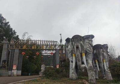 花好月圓動物園