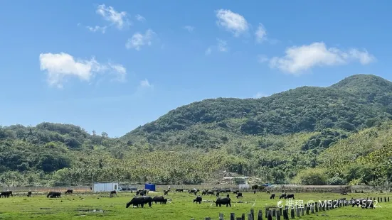 橋海牧場