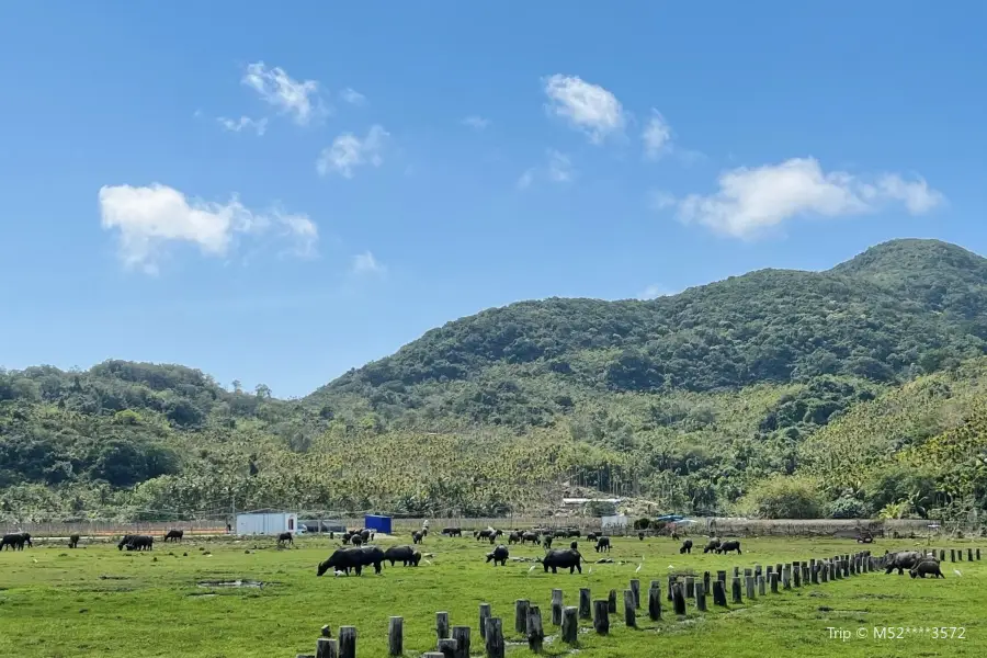 橋海牧場