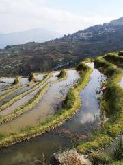 Nanuo Terraced Fields