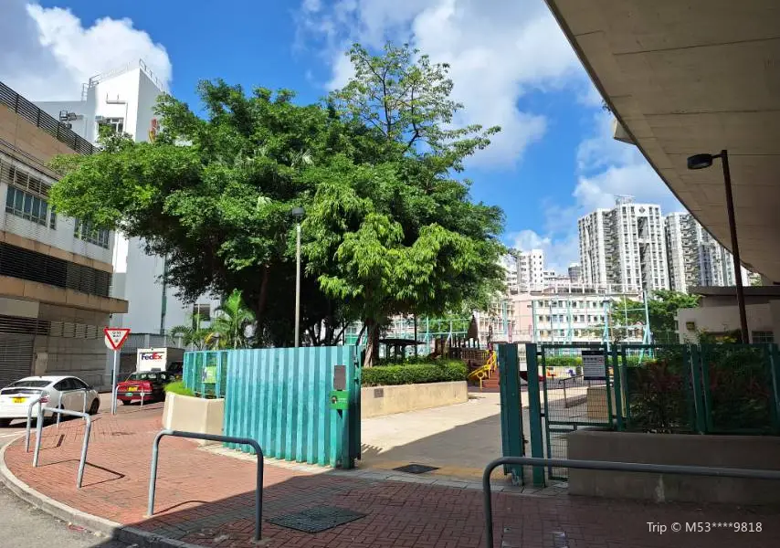 Sycamore Street Rest Garden