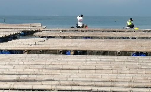 海釣家（外伶仃基地）