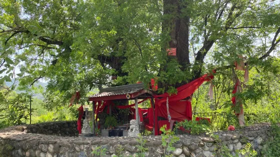 子午銀灘景區