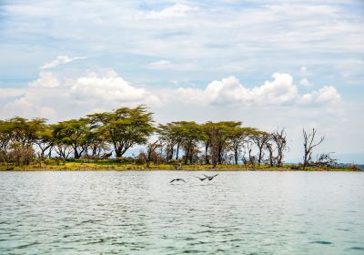 Naivasha