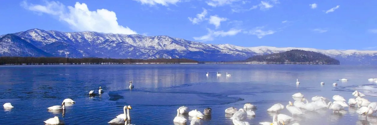 Hot Springs Attractions