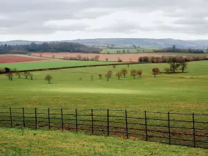 National Trust - Killerton