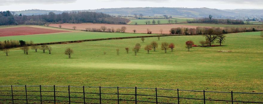 National Trust - Killerton
