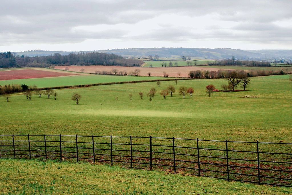National Trust - Killerton