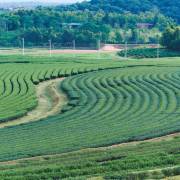 กิจกรรมบันเทิง