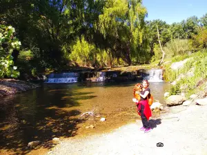 Ruta dels molins
