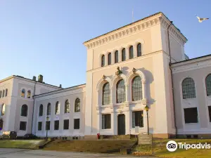 Bergen University Museum - Natural History