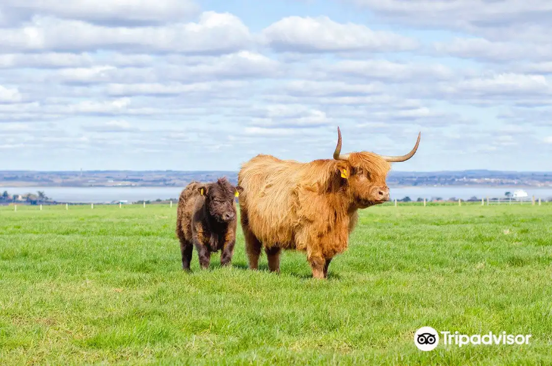Hotels in der Nähe von Tapnell Farm Park