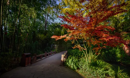 Meishan San Su Shrine Museum