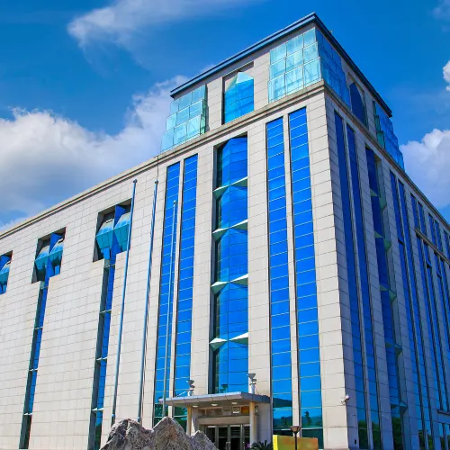 중국 지질 박물관