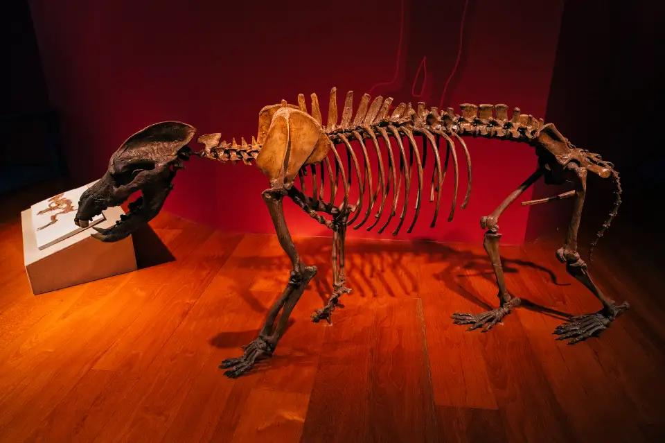4_Shanghai Natural History Museum
