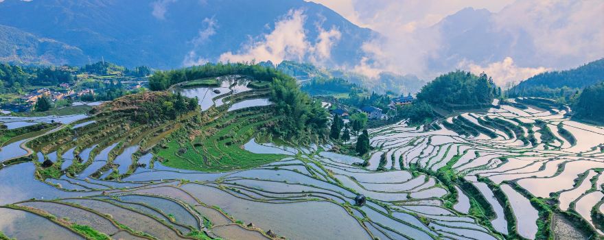 雲和梯田景區
