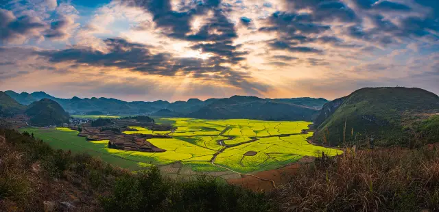 Rapeseed Flower Viewing in Chenzhou