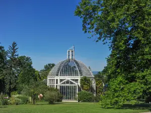 Dành cho gia đình Phổ Biến Tại Geneva