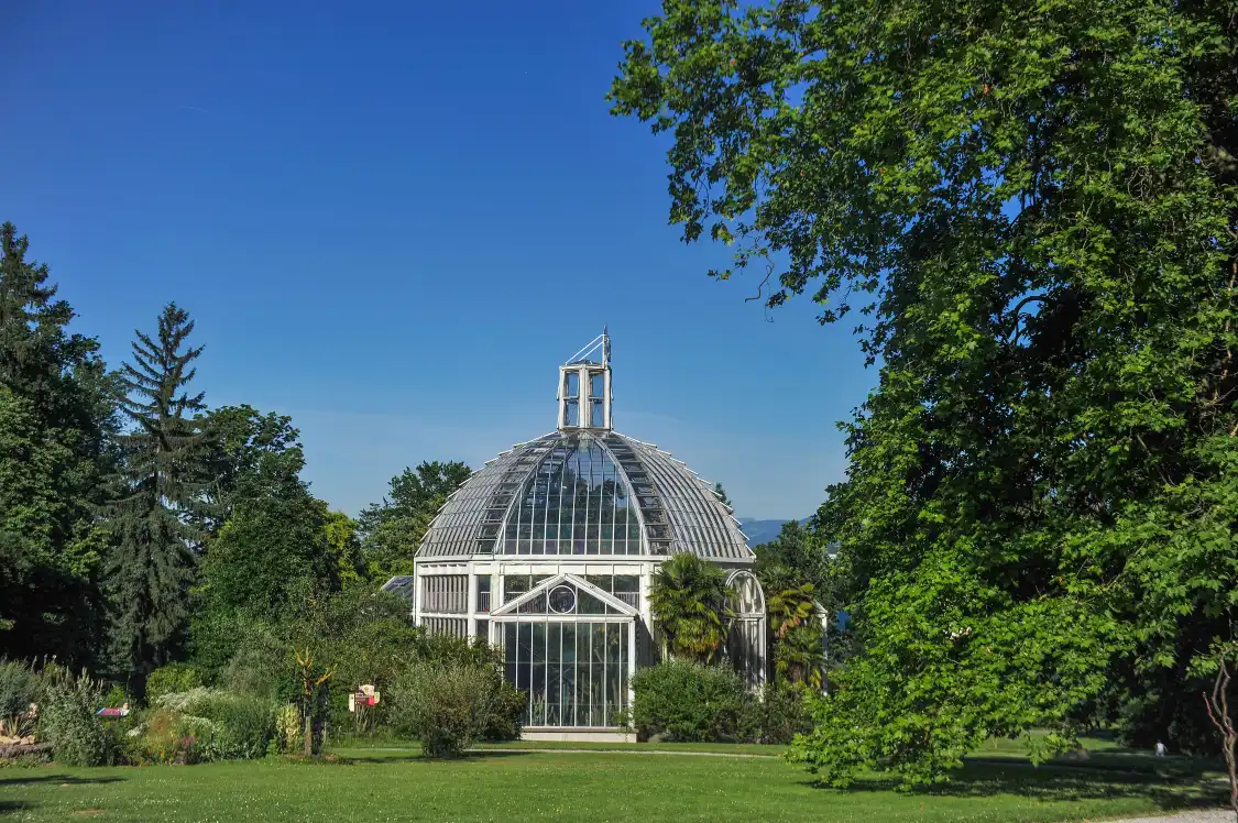 Hotels near Conservatory and Botanical garden Geneva