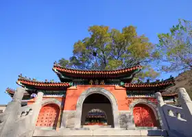 青龍山