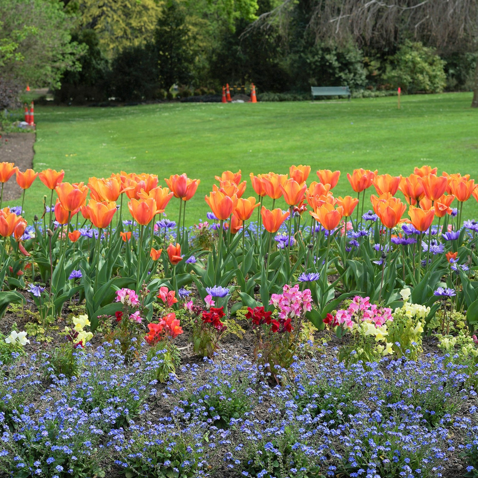 Christchurch Botanic Gardens