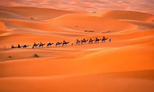 Desert Travel