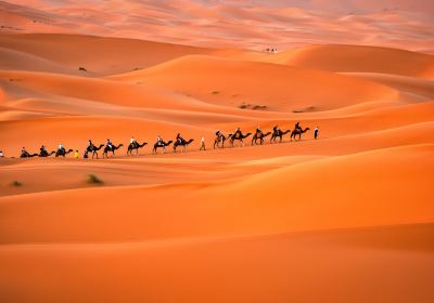 Desert Travel