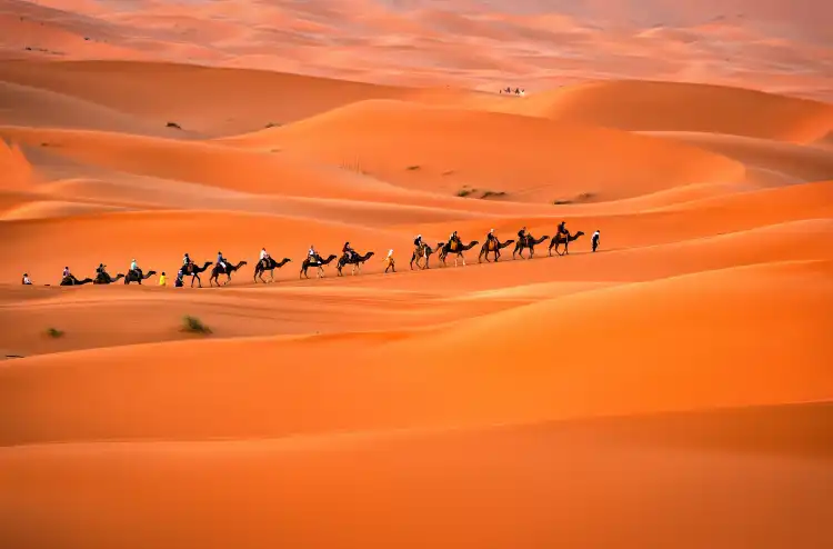 مرزوكة