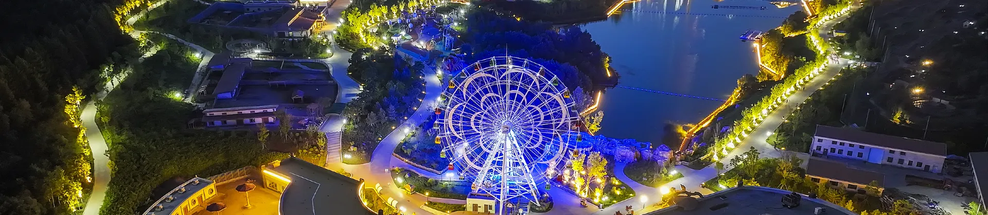 Night Attractions