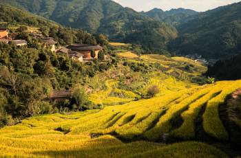南靖的熱門遊賞秋景好去處