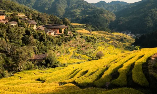 Fujian (Nanjing) Tulou Scenic Area