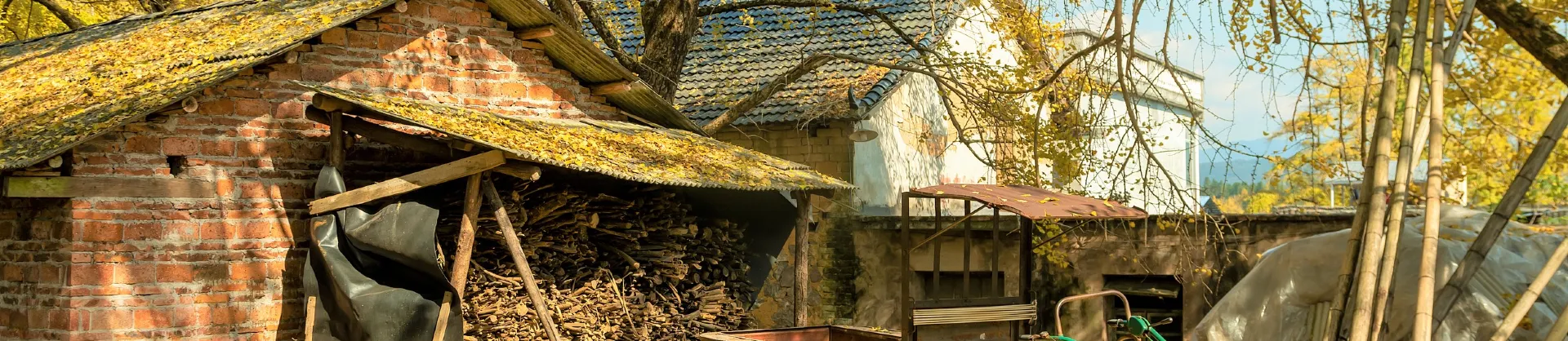 Fall Viewing Attractions