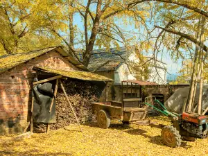 Popular Fall Viewing Attractions in Lingchuan
