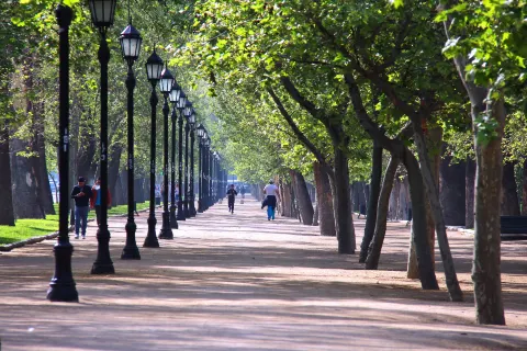 Parque Forestal