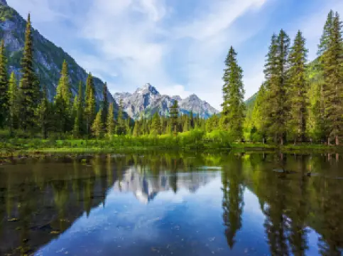 กิจกรรมในฤดูใบไม้ผลิยอดนิยมในผิงอู๋