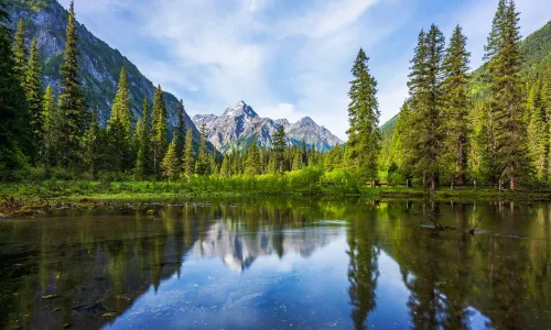 Wanglang National Nature Reserve
