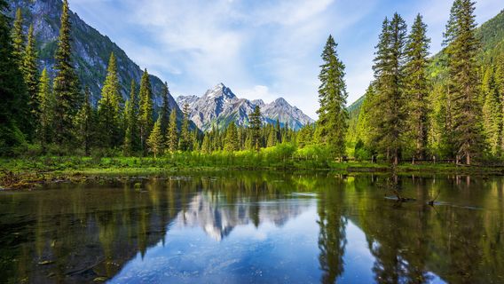 Wanglang National Nature Reserve