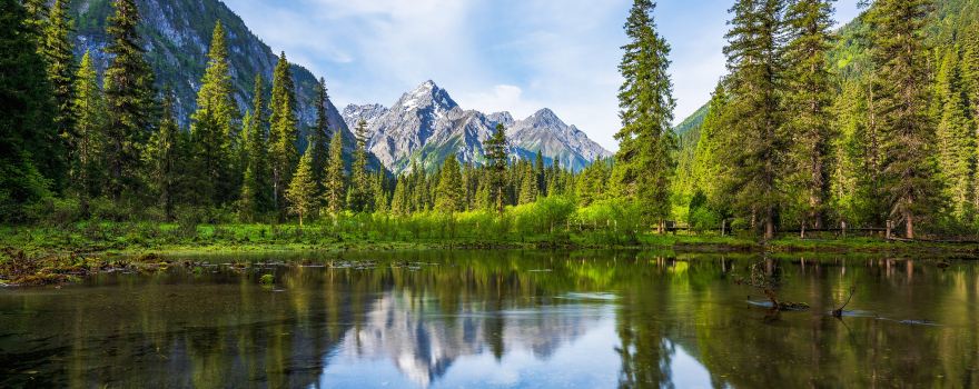 Wanglang National Nature Reserve