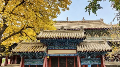武威文廟 attraction in 武威