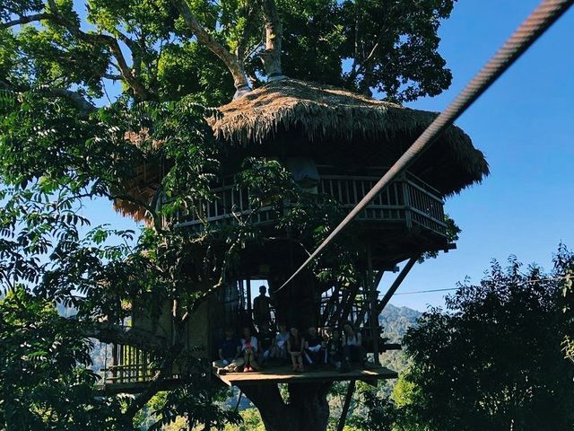 Zip-lining at the Gibbon Experience