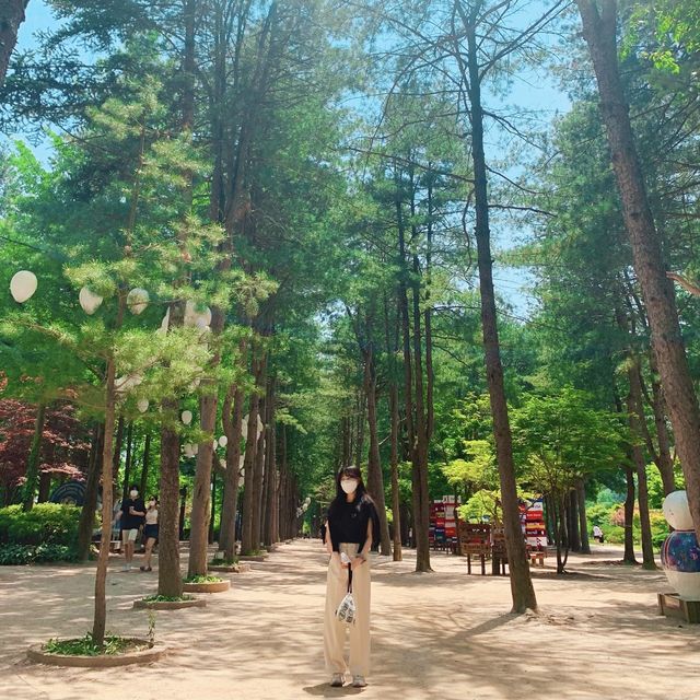 [여름엔 남이섬으로 떠나요~]