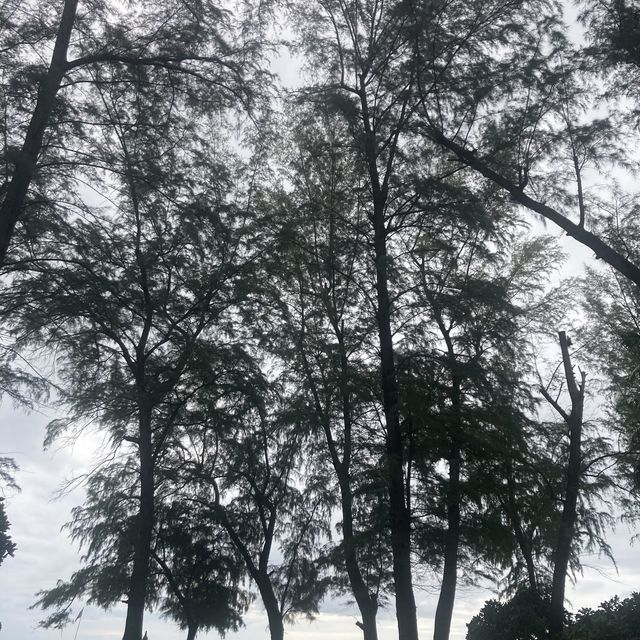 altTitle