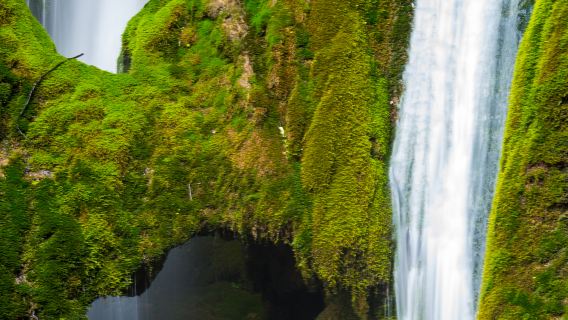 롼촨 죽해 야생동물원 + 충두곡 풍경구 + 뤄선푸 일일 투어(영어 및 중국어 서비스)